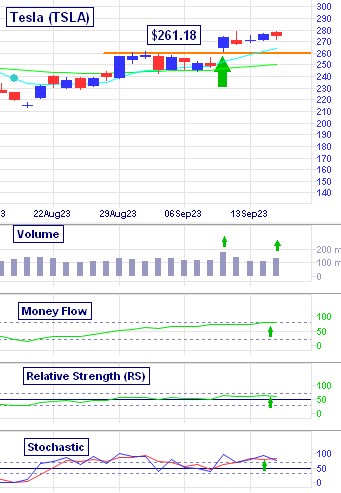 Tesla's Breakout